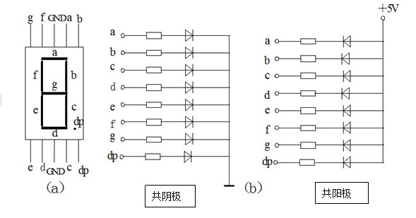 共阳极、共阴极数码管