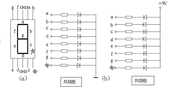 共阳极、共阴极数码管