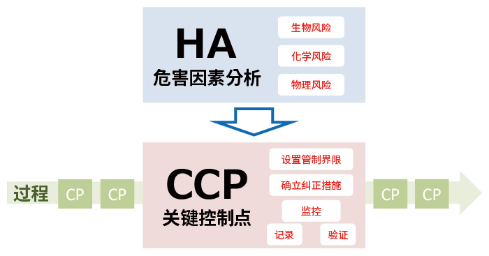 haccp_簡体.jpg